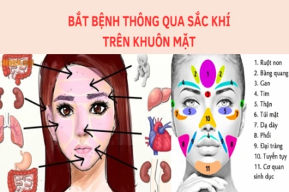 CHẨN ĐOÁN BỆNH QUA SẮC KHÍ KHUÔN MẶT - THẦY PHÚC THÀNH CHIA SẺ.